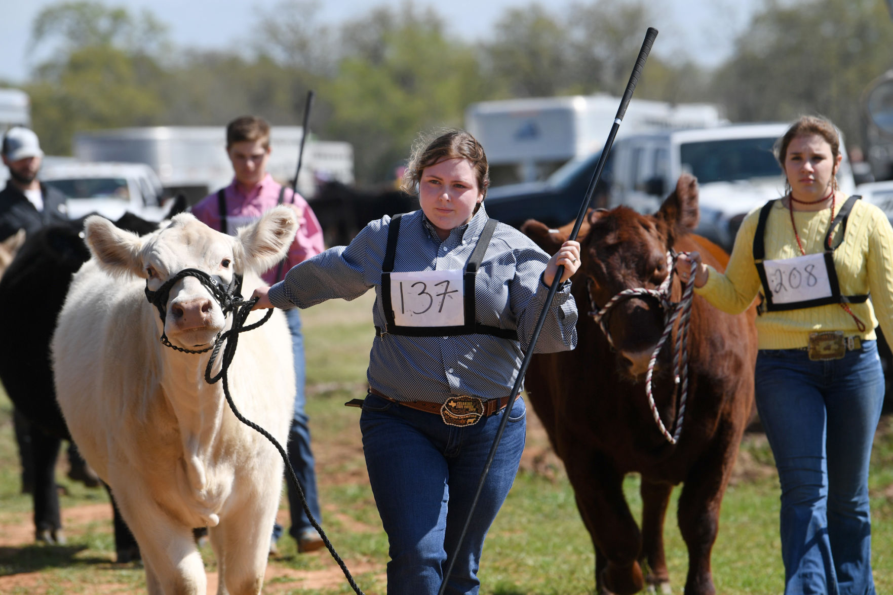 BTHO Coronavirus show